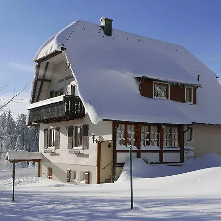 Haus Albblick *