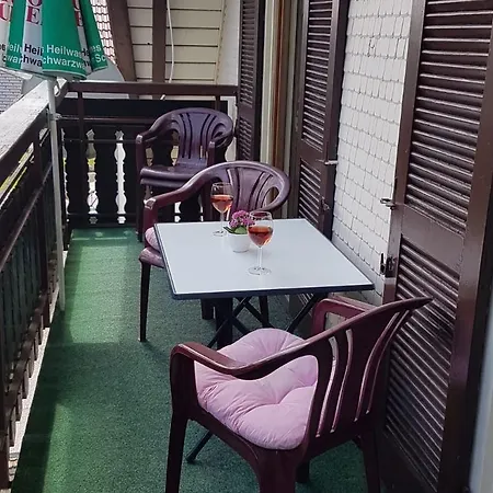 Haus Albblick 아파트 *